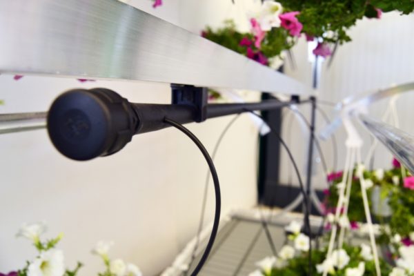 Chiringuito - innowacyjny ekspozytor na kwiaty wyposażony w system nawadniania