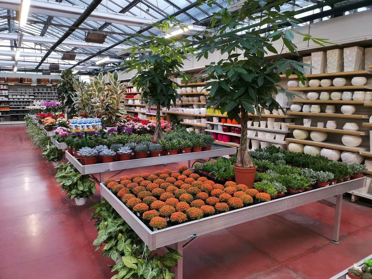 bancale-espositore-low-cost-fisso-in-alluminio-482615-531014-532266-538166-538217 Stałe stoły wodne z aluminium