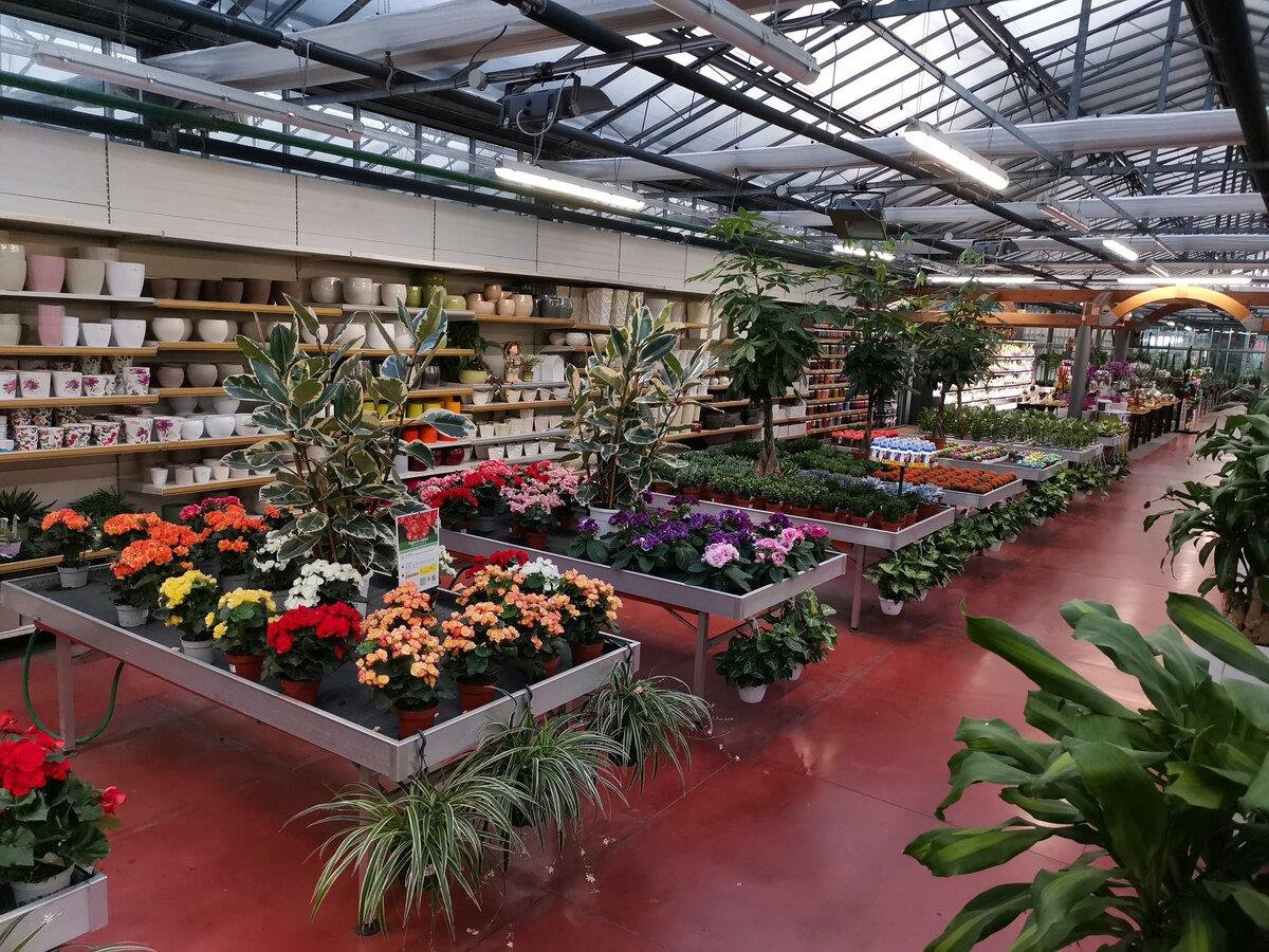 bancale-espositore-low-cost-fisso-in-alluminio-482642-531017-532269-538169-538220 Stałe stoły wodne z aluminium