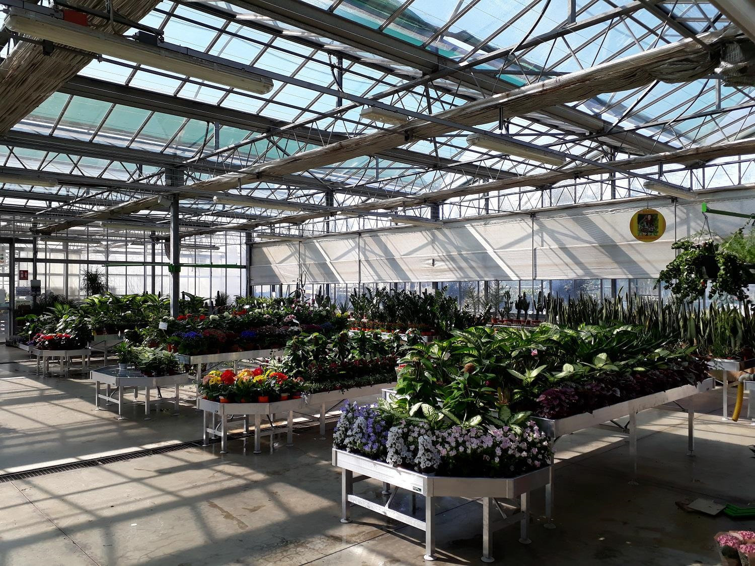 bancale-espositore-low-cost-fisso-in-alluminio-482702-531023-532275-538175-538226 Stałe stoły wodne z aluminium