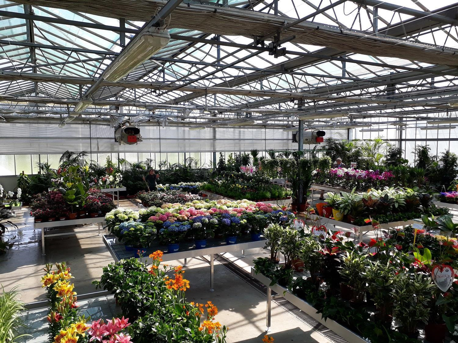 bancale-espositore-low-cost-fisso-in-alluminio-482740-531026-532278-538178-538229 Stałe stoły wodne z aluminium