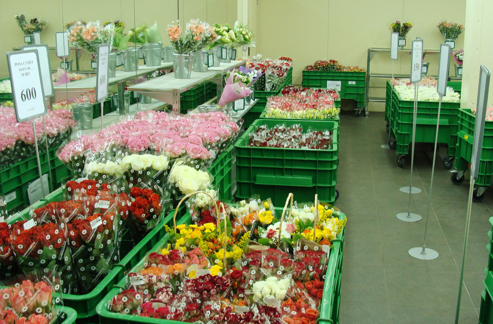 container-for-cut-flowers-488283 Pojemnik na kwiaty cięte