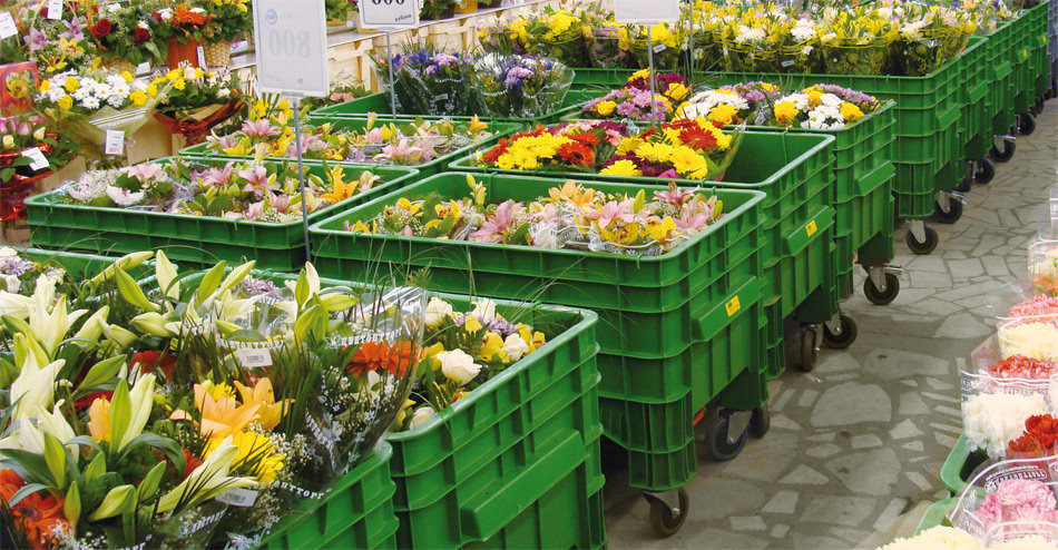 container-for-cut-flowers-488325 Pojemnik na kwiaty cięte