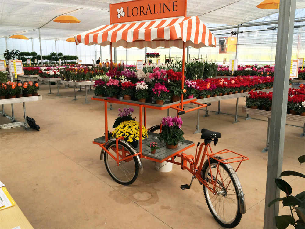 kareta-display-483806 Mobilna kwiaciarnia