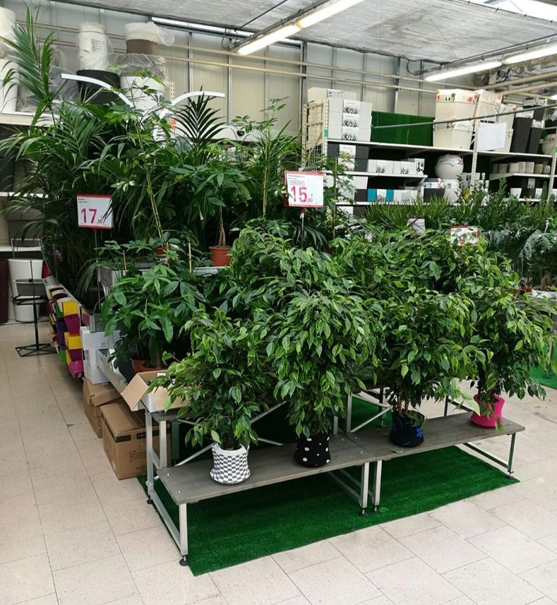 stair-step-displayer-484517 Ekspozytor schodowy