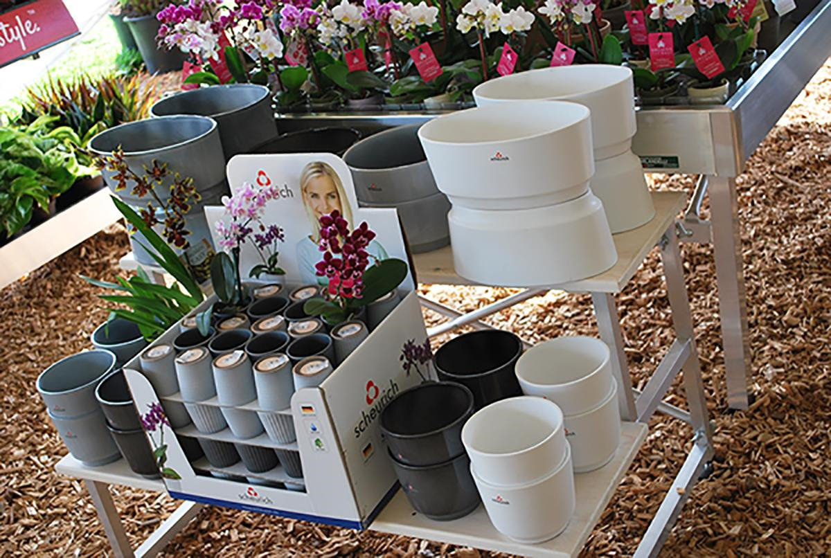 stair-step-displayer-484591 Ekspozytor schodowy