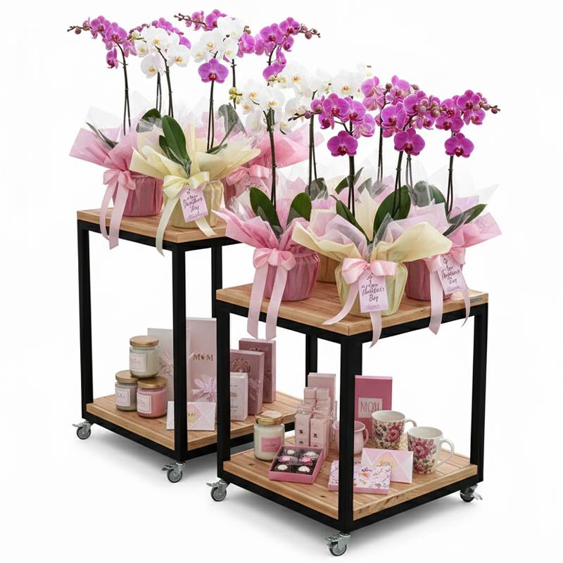 tavoliespositivisuruoteamb-592166-592187 Stół z dwiema drewnianymi półkami na kółkach