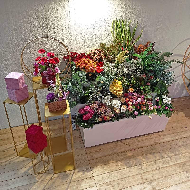 titanio-elab01-575029-575038 System ekspozycji chłodniczej Fior d'acqua