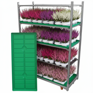 Taca na wodę z zaworem zielona