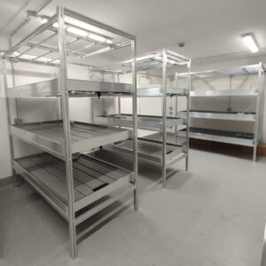 Pionowy system uprawy