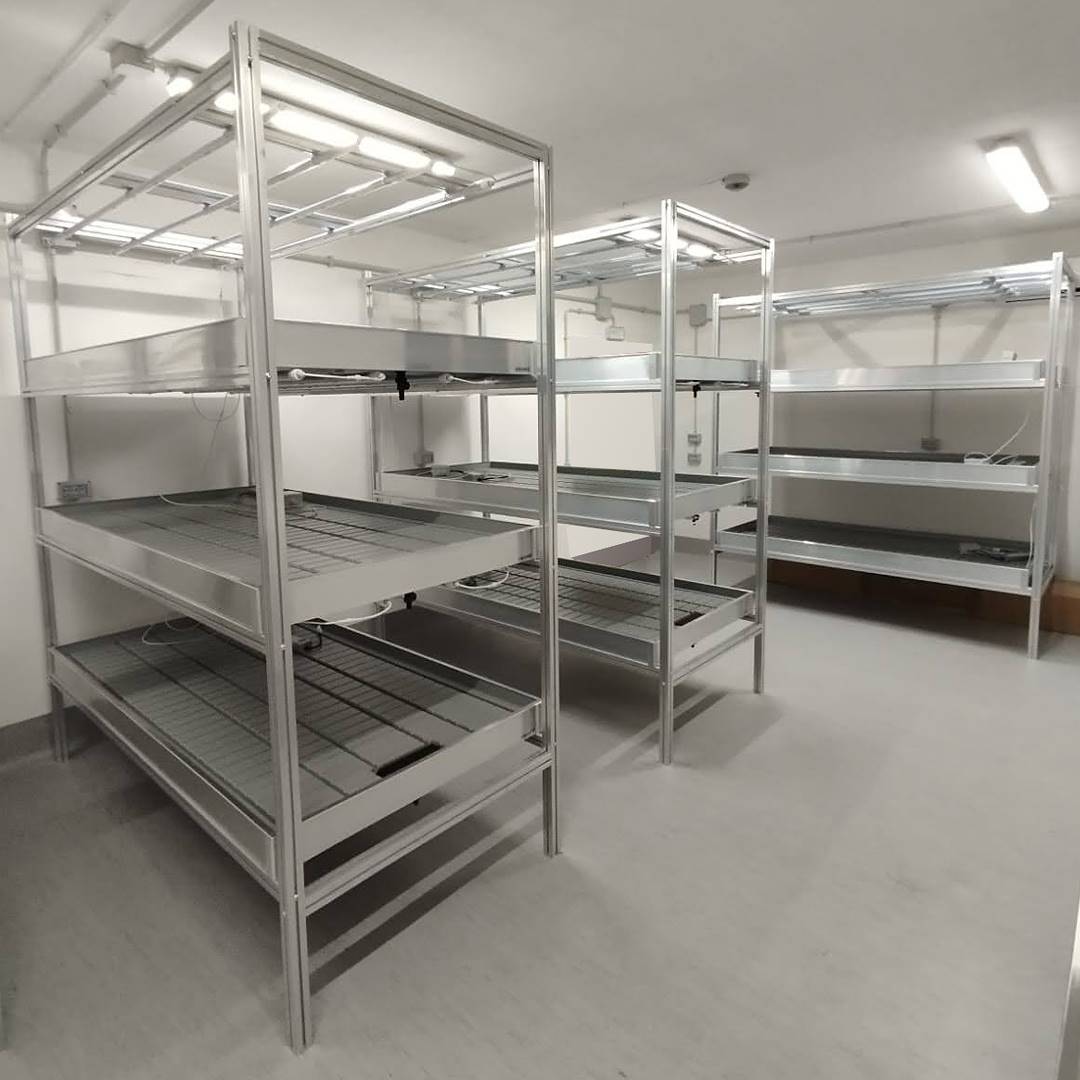 vertical-farm-583806 Pionowy system uprawy