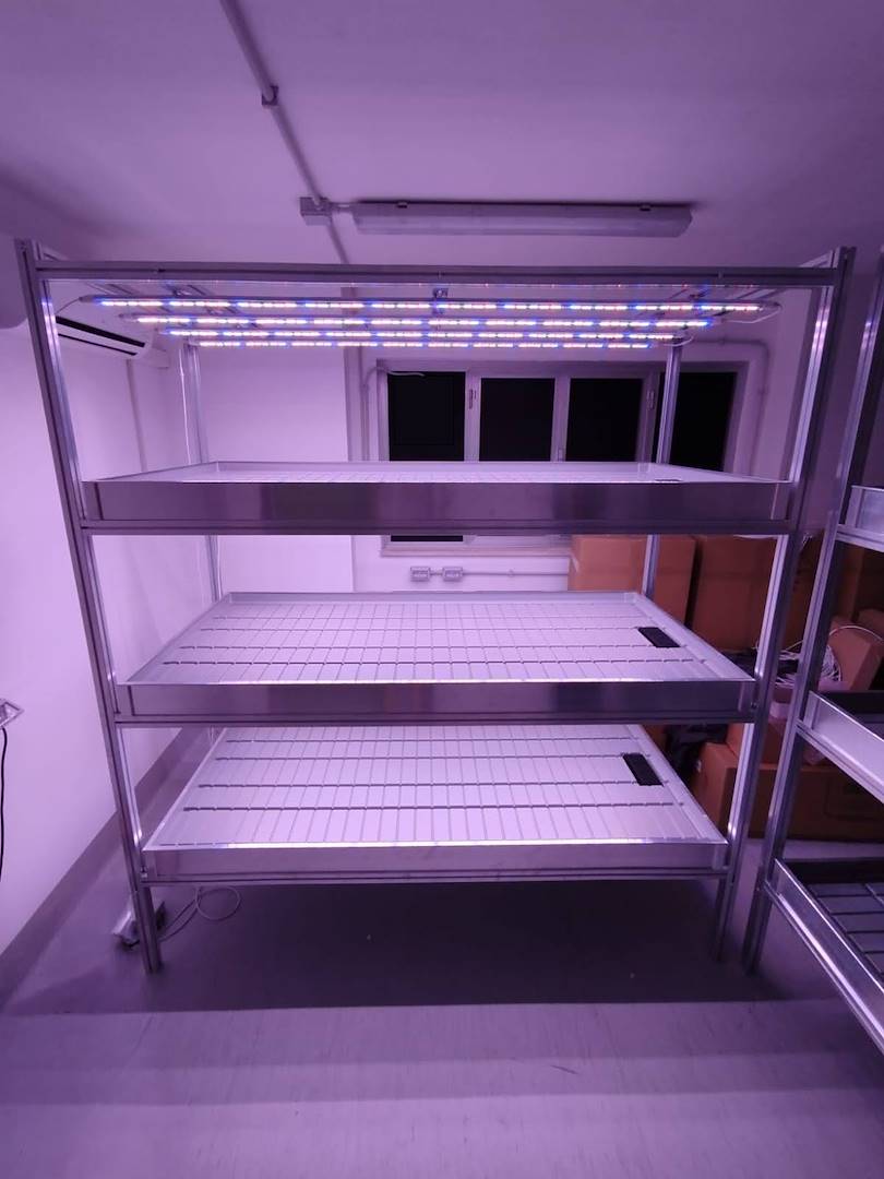 vertical-farm-tray-water4-583571-583831 Pionowy system uprawy