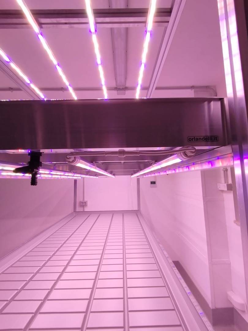 vertical-farm-tray-water5-583558-583834 Pionowy system uprawy