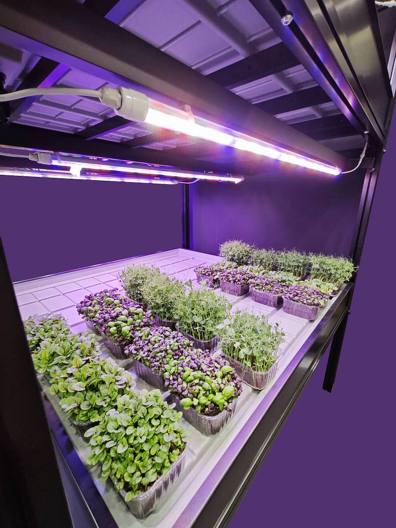 vertical-farm-tray-water7-583564-583828 Pionowy system uprawy