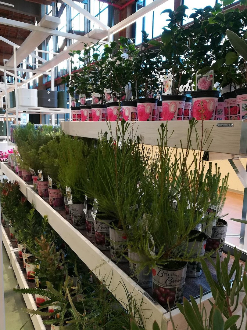 wood-wall-bench-line-amor-499680-544401-554721-554736 Wood Line Amor Przyścienny stół ekspozycyjny