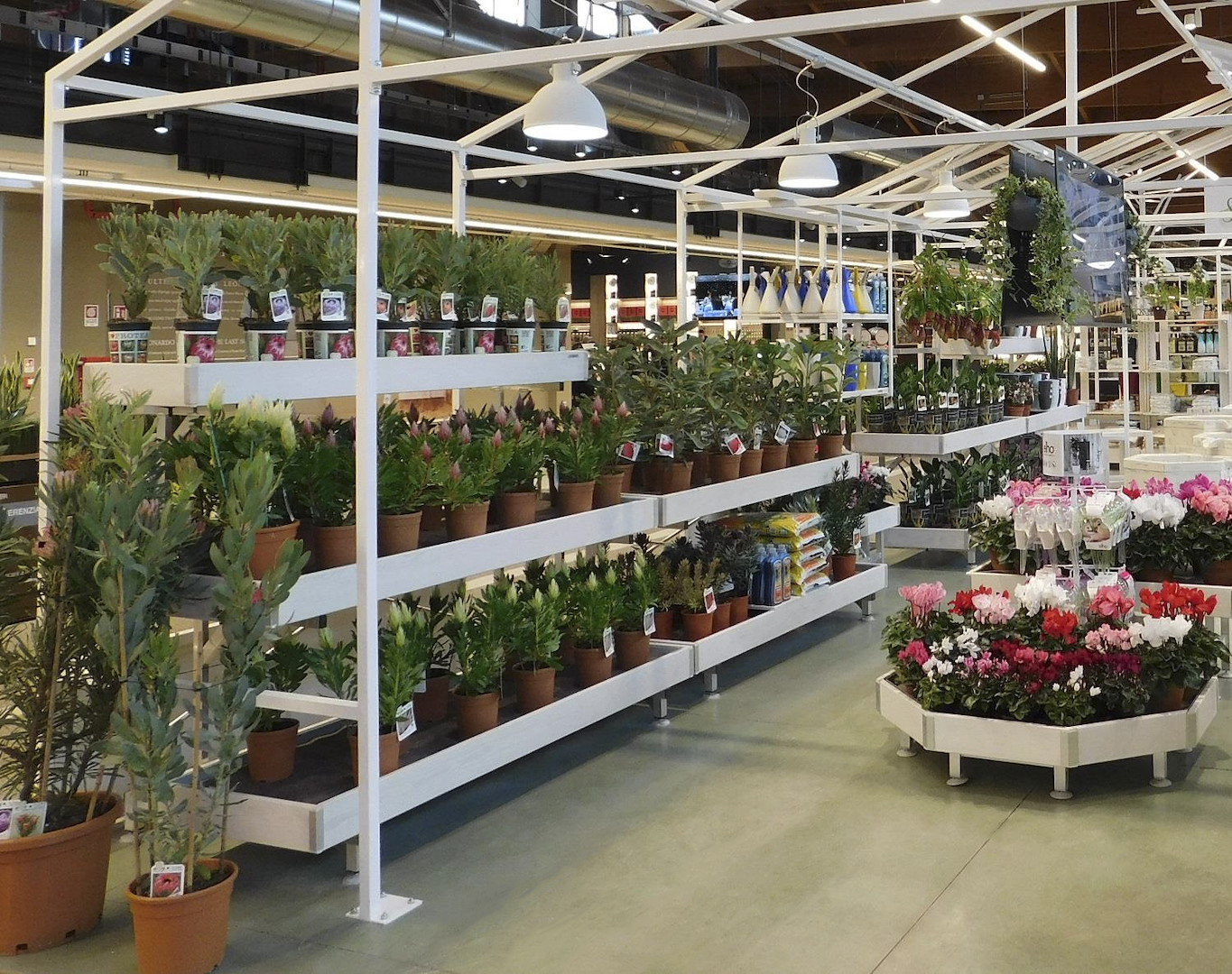 wood-wall-bench-line-amor-499710-544395copia-554727-554742 Wood Line Amor Przyścienny stół ekspozycyjny