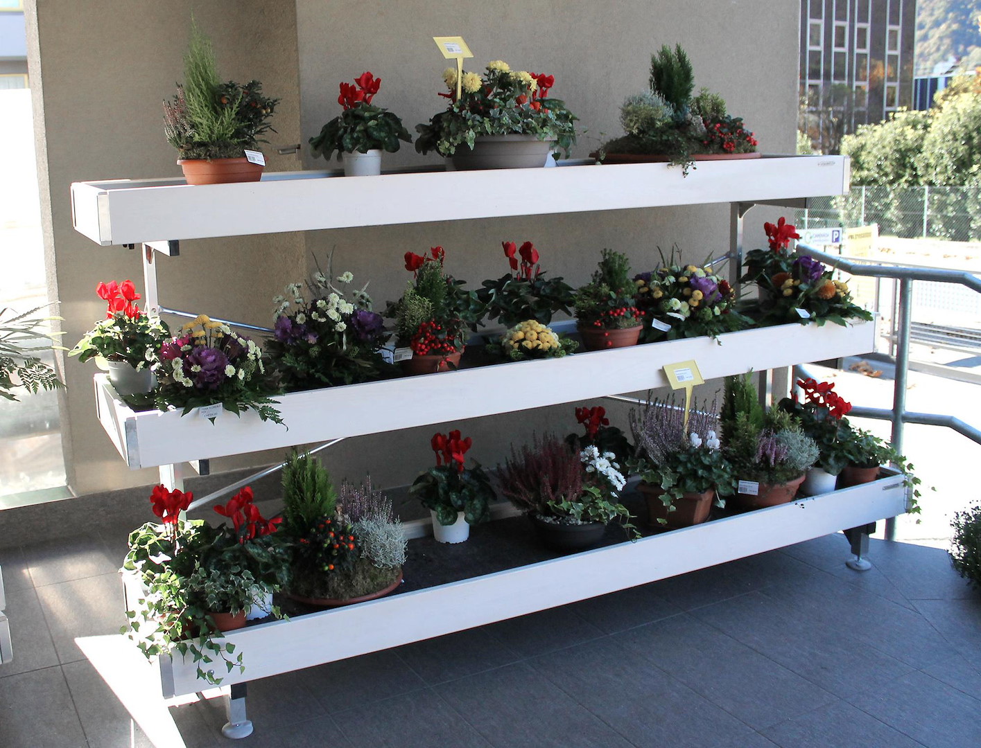 wood-wall-bench-line-amor-499729-544392-554730-554745 Wood Line Amor Przyścienny stół ekspozycyjny